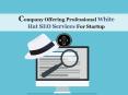Company offering professional white hat seo services for startup PowerPoint PPT Presentation