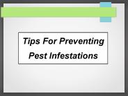 Tips for preventing pest infestations