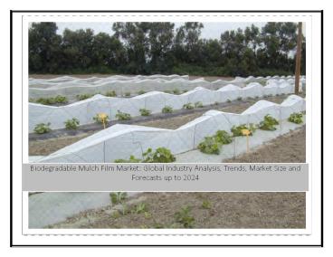 Global Biodegradable Mulch Film Market Forecast to 2024