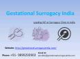 Ivf process in delhi step by step - ivf cost delhi PowerPoint PPT Presentation