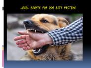 Legal Rights for Dog bite Victims
