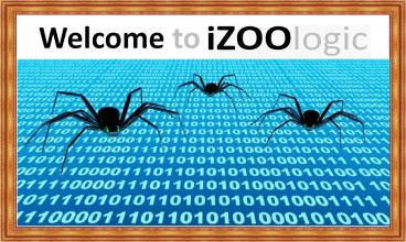 Anti-Phishing | iZOOlogic