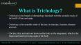 Top Trichology Course in Pune PowerPoint PPT Presentation