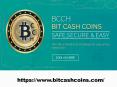 Crypto Market in Singapore | BITCASH Coins PowerPoint PPT Presentation