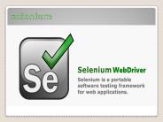 Selenium Training Institute in Chennai