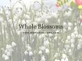 Wholeblossoms:Take Time To Smell The Flowers PowerPoint PPT Presentation