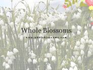 Wholeblossoms:Take Time To Smell The Flowers
