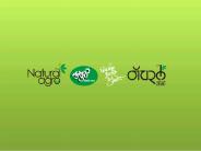 Mint Powder in Pune - Natural Agro