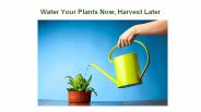 Little Squirt Irrigation