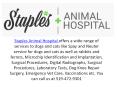 London Ontario animal care centre PowerPoint PPT Presentation