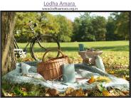 Lodha Amara project in mumbai