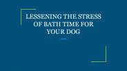 LESSENING THE STRESS OF BATH TIME FOR YOUR DOG
