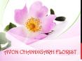 Send Cakes to Chandigarh | Chandigarh Florist PowerPoint PPT Presentation