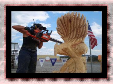 The Pro Cutter - Guide Available For Chainsaws