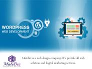 Searching For Top Wordpress Website Development Company