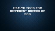 Health Food For Different Breeds of Dog