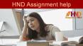 HND Assignment Help (10)