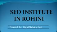 Seo Institute In Rohini