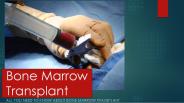 All you need to know about bone marrow transplant
