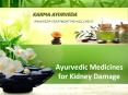 Ayurvedic Medicines for Kidney Disease (1)