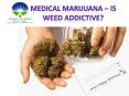 Experience Medical Marijuana Canada Doctors PowerPoint PPT Presentation