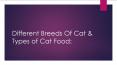 Different Breeds Of Cat & Types of Cat Food: PowerPoint PPT Presentation