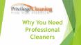 Why You need Professional Cleaners PowerPoint PPT Presentation