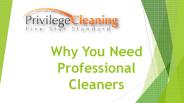 Why You need Professional Cleaners