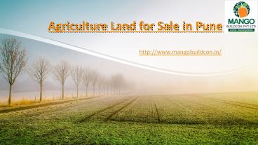 Agriculture Land for sale in Pune