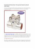 Forged Steel Lift Check Valve: The Important Details You Should Know About! PowerPoint PPT Presentation