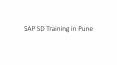 SAP SD Training PPT (1)