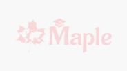 Maple inc   Study Overseas Consultants