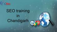SEO training in Chandigarh (4)