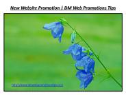 New Website Promotion | DM Web Promotions Tips (2)
