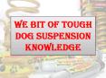 We Bit of Tough Dog Suspension Knowledge PowerPoint PPT Presentation