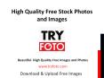 Tryfoto - Free Stock Images & Photos PowerPoint PPT Presentation