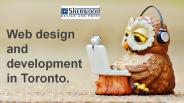 Web design and development in Toronto.