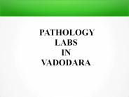 HIV Screening Package Test in Vadodara