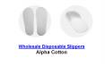 Wholesale Disposable Slippers PowerPoint PPT Presentation