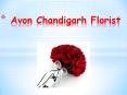 Send Flowers to Chandigarh | Florist Lucknow PowerPoint PPT Presentation