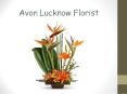 Send Flowers to Lucknow | Florist Lucknow PowerPoint PPT Presentation