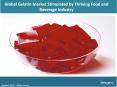 Global Gelatin Market Share, Size, Price Trends And Research Report 2018-2023 PowerPoint PPT Presentation