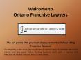 Franchise Lawyers Attorney, Franchise Litigation Lawyers PowerPoint PPT Presentation
