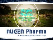 Allopathic Medicines Manufacture