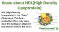Diet to Improve HDL Cholesterol Naturally | Herbs to Increase HDL PowerPoint PPT Presentation