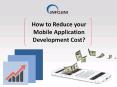 How to Reduce Mobile App Development Cost? PowerPoint PPT Presentation