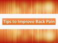 Tips to Improve Back Pain PowerPoint PPT Presentation