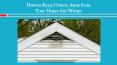 How to Keep Critters Away from Your Home this Winter PowerPoint PPT Presentation