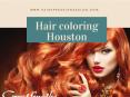 Hair coloring Houston PowerPoint PPT Presentation