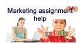 Marketing assignment help (3) PowerPoint PPT Presentation